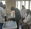 마용기초케어&반려견기초미용2 실견수업2