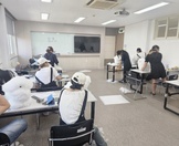 <3주차>반려견기초미용