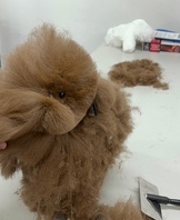 2023.11.27 미용기초케어 보강(1)