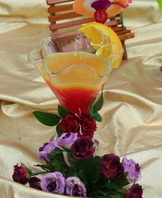 2008 Sunlin Expo
