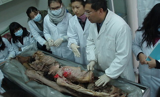 2010 간호과 해외 현장..