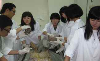 중국 해부학실습